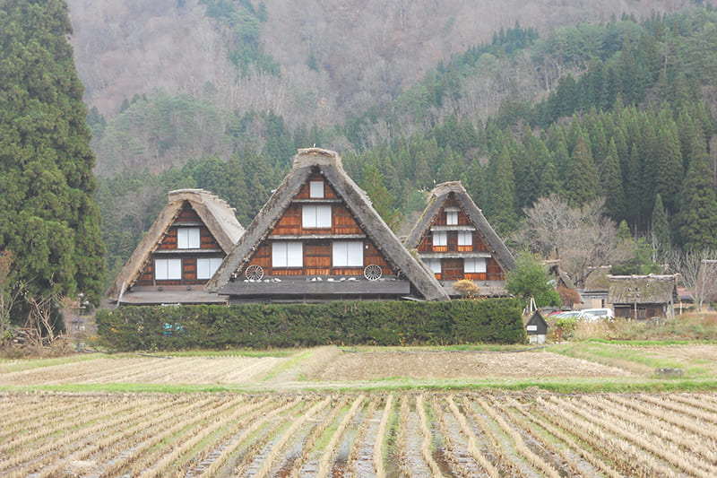 白川郷